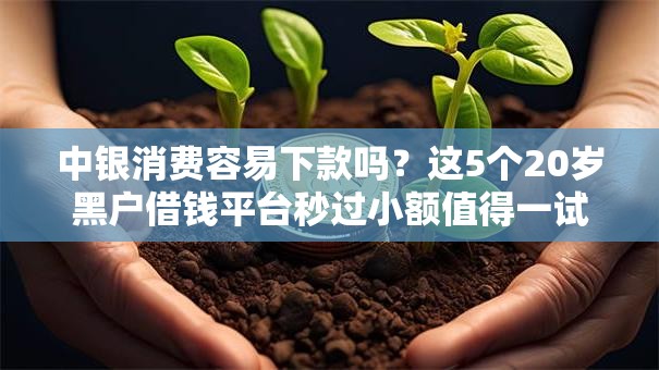 中银消费容易下款吗？这5个20岁黑户借钱平台秒过小额值得一试