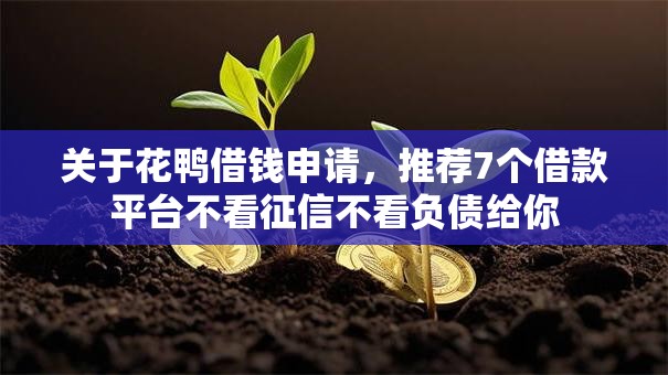 关于花鸭借钱申请，推荐7个借款平台不看征信不看负债给你