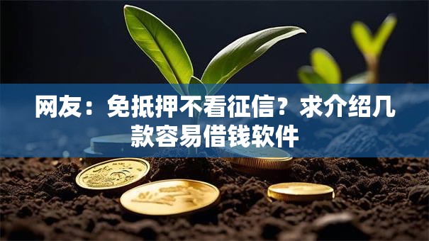 网友：免抵押不看征信？求介绍几款容易借钱软件