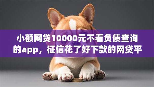 小额网贷10000元不看负债查询的app,征信花了好下款的网贷平台的6个平台介绍 小额网贷10000元不看负债查询的app,征信花了好下款的网贷平台的6个平台介绍