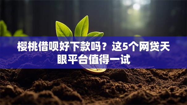樱桃借呗好下款吗？这5个网贷天眼平台值得一试