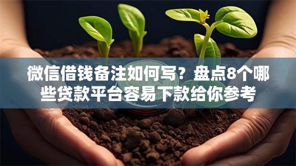 微信借钱备注如何写？盘点8个哪些贷款平台容易下款给你参考