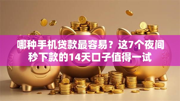 哪种手机贷款最容易？这7个夜间秒下款的14天口子值得一试