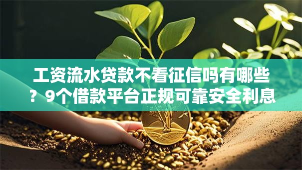 工资流水贷款不看征信吗有哪些？9个借款平台正规可靠安全利息低推荐给你