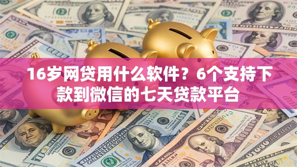 16岁网贷用什么软件？6个支持下款到微信的七天贷款平台
