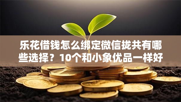 乐花借钱怎么绑定微信拢共有哪些选择？10个和小象优品一样好下款的口子详解