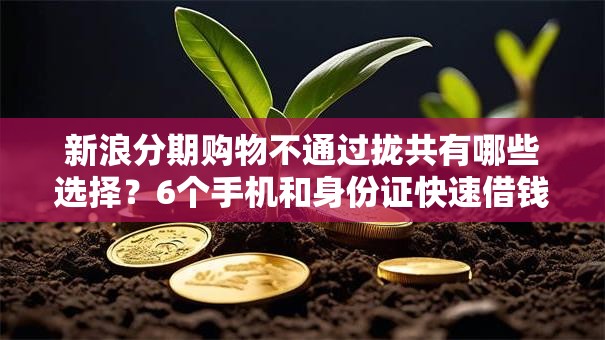 新浪分期购物不通过拢共有哪些选择？6个手机和身份证快速借钱口子详解