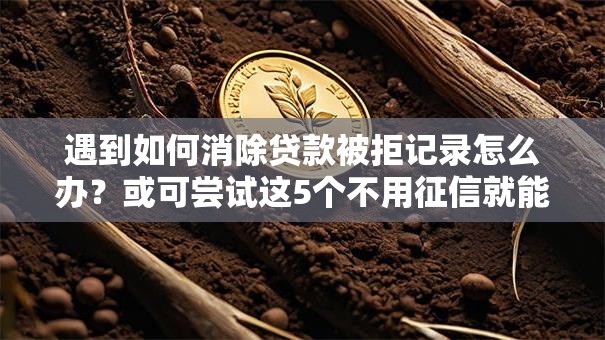 遇到如何消除贷款被拒记录怎么办？或可尝试这5个不用征信就能借钱的平台