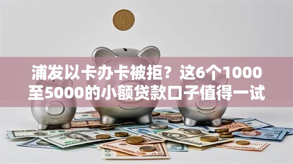 浦发以卡办卡被拒？这6个1000至5000的小额贷款口子值得一试
