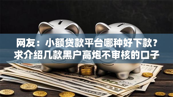 网友：小额贷款平台哪种好下款？求介绍几款黑户高炮不审核的口子
