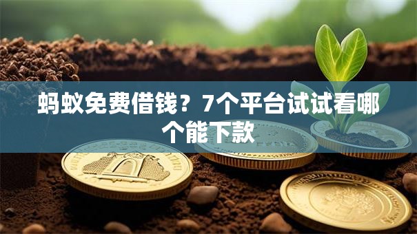 蚂蚁免费借钱？7个平台试试看哪个能下款