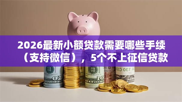 2026最新小额贷款需要哪些手续（支持微信），5个不上征信贷款平台查询无私分享