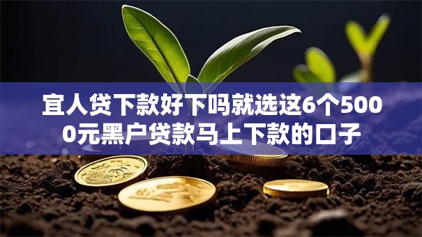 宜人贷下款好下吗就选这6个5000元黑户贷款马上下款的口子