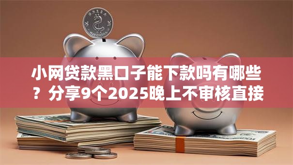 小网贷款黑口子能下款吗有哪些?分享9个2025晚上不审核直接放款口子 小网贷款黑口子能下款吗有哪些?分享9个2025晚上不审核直接放款口子