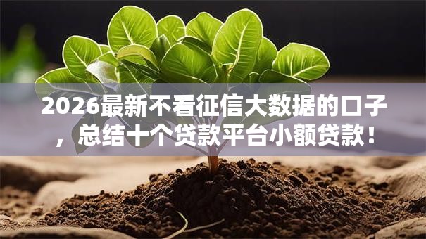 2026最新不看征信大数据的口子，总结十个贷款平台小额贷款！