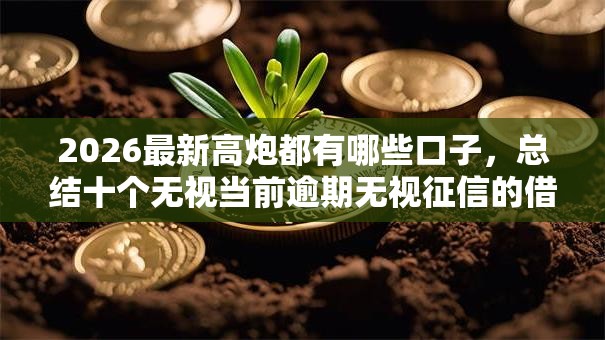 2026最新高炮都有哪些口子,总结十个无视当前逾期无视征信的借款口子! 2026最新高炮都有哪些口子,总结十个无视当前逾期无视征信的借款口子!