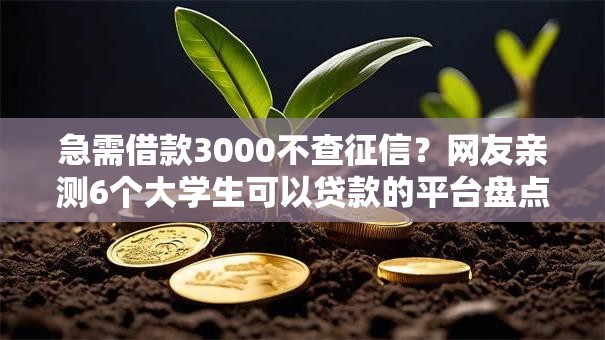 急需借款3000不查征信？网友亲测6个大学生可以贷款的平台盘点