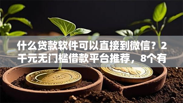 什么贷款软件可以直接到微信？2千元无门槛借款平台推荐，8个有借款平台好借钱盘点