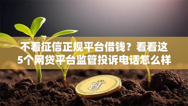 不看征信正规平台借钱?看看这5个网贷平台监管投诉电话怎么样 不看征信正规平台借钱?看看这5个网贷平台监管投诉电话怎么样