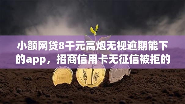 小额网贷8千元高炮无视逾期能下的app，招商信用卡无征信被拒的8个平台介绍