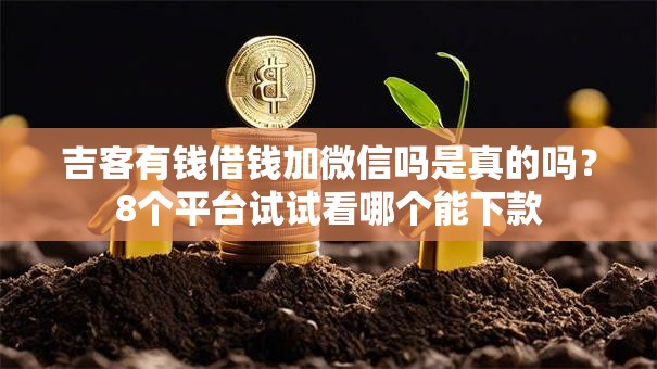吉客有钱借钱加微信吗是真的吗？8个平台试试看哪个能下款