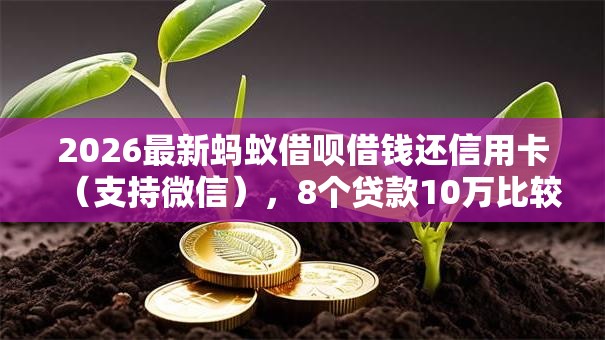 2026最新蚂蚁借呗借钱还信用卡（支持微信），8个贷款10万比较容易的口子无私分享