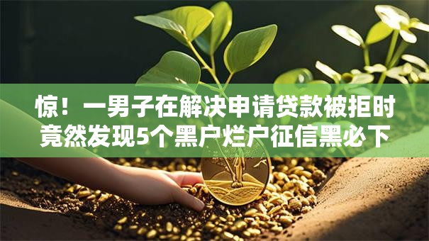 惊！一男子在解决申请贷款被拒时竟然发现5个黑户烂户征信黑必下款的口子，事后分享了出来