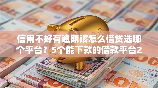 信用不好有逾期该怎么借贷选哪个平台？5个能下款的借款平台2025推荐