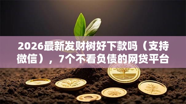 2026最新发财树好下款吗（支持微信），7个不看负债的网贷平台无私分享