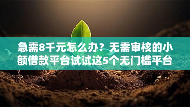 急需8千元怎么办？无需审核的小额借款平台试试这5个无门槛平台