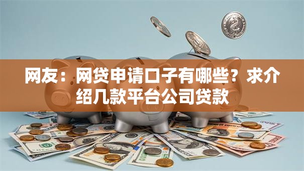 网友：网贷申请口子有哪些？求介绍几款平台公司贷款