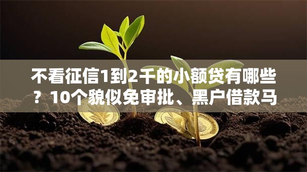 不看征信1到2千的小额贷有哪些？10个貌似免审批、黑户借款马上到账的口子合集
