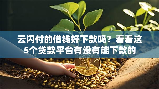 云闪付的借钱好下款吗？看看这5个贷款平台有没有能下款的