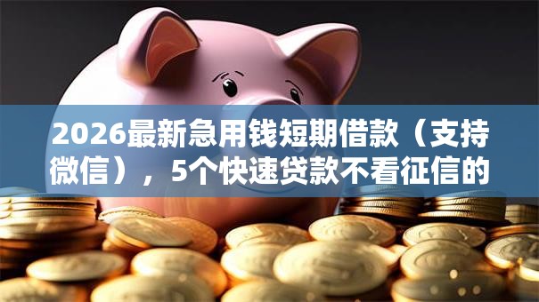 2026最新急用钱短期借款（支持微信），5个快速贷款不看征信的平台无私分享