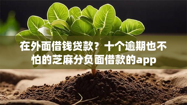 在外面借钱贷款？十个逾期也不怕的芝麻分负面借款的app