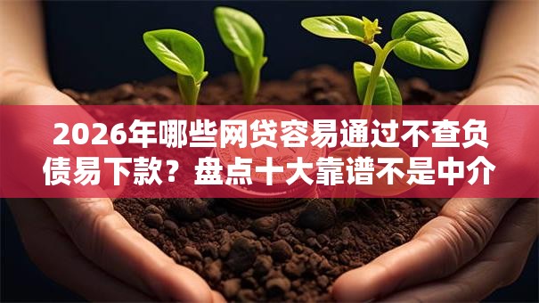 2026年哪些网贷容易通过不查负债易下款？盘点十大靠谱不是中介的贷款平台