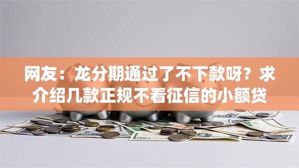 网友：龙分期通过了不下款呀？求介绍几款正规不看征信的小额贷款app