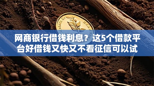 网商银行借钱利息?这5个借款平台好借钱又快又不看征信可以试试 网商银行借钱利息?这5个借款平台好借钱又快又不看征信可以试试