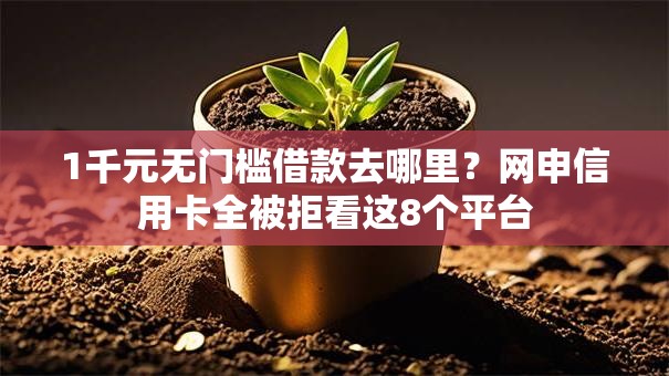 1千元无门槛借款去哪里？网申信用卡全被拒看这8个平台