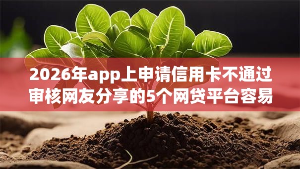 2026年app上申请信用卡不通过审核网友分享的5个网贷平台容易通过我觉得不错! 2026年app上申请信用卡不通过审核网友分享的5个网贷平台容易通过我觉得不错!
