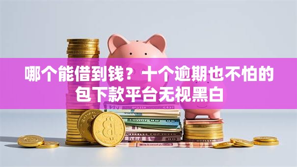 哪个能借到钱？十个逾期也不怕的包下款平台无视黑白