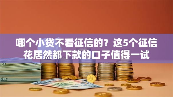 哪个小贷不看征信的？这5个征信花居然都下款的口子值得一试