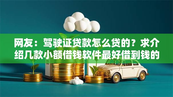 网友：驾驶证贷款怎么贷的？求介绍几款小额借钱软件最好借到钱的