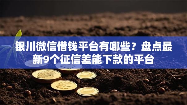 银川微信借钱平台有哪些？盘点最新9个征信差能下款的平台