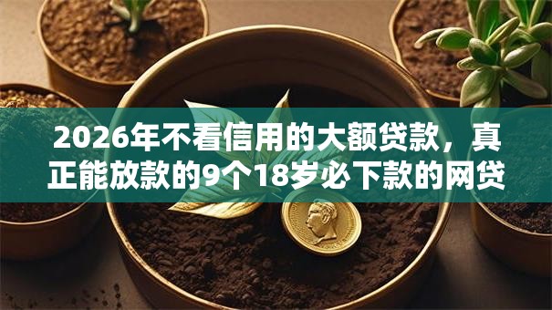 2026年不看信用的大额贷款，真正能放款的9个18岁必下款的网贷软件推荐