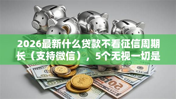 2026最新什么贷款不看征信周期长（支持微信），5个无视一切是人就下款的平台无私分享