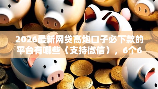 2026最新网贷高炮口子必下款的平台有哪些（支持微信），6个65岁稳放款口子的年龄要求无私分享