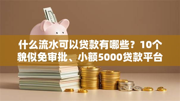 什么流水可以贷款有哪些？10个貌似免审批、小额5000贷款平台合集