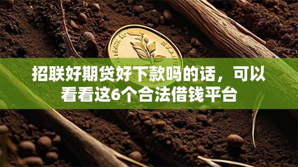 招联好期贷好下款吗的话,可以看看这6个合法借钱平台 招联好期贷好下款吗的话,可以看看这6个合法借钱平台