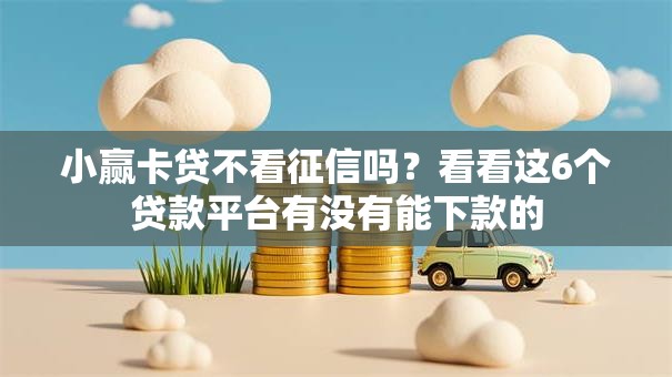 小赢卡贷不看征信吗？看看这6个贷款平台有没有能下款的